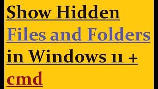 Show hidden Files and Folders Windows 11 [upl. by Itin]