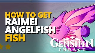 Raimei Angelfish Genshin Impact [upl. by Aholla]