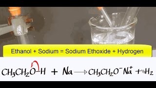 Alcohols Advanced 7 Ethanol reacting with Sodium [upl. by Anette145]