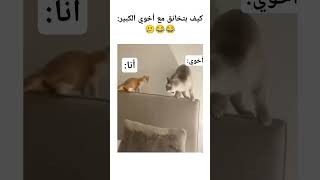 ما في رحمه 😂🤡☠️ اكسبلور ضحك ميمزضحك ميمز memes عائلة الأخوة viralvideo fypyoutube [upl. by Anyel]