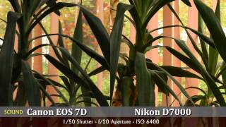 Nikon D7000 vs Canon EOS 7D  ISO Noise Comparisonmp4 [upl. by Inig]