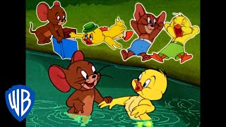 Tom amp Jerry  Best of Jerry and Little Quacker  Classic Cartoon Compilation  WB Kids [upl. by Hgiel]