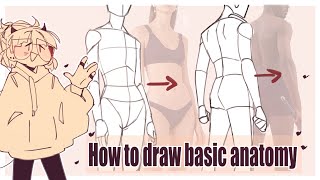 How to draw basic anatomy [upl. by Apple]