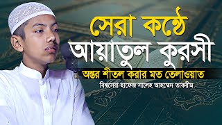 পৃথিবীর সেরা কণ্ঠে আয়াতুল কুরসি ┇ Recited By Hafez Saleh Ahmad Takrim ┇ ayatul kursi [upl. by Halilak]