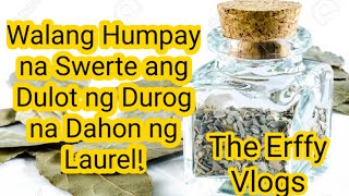 Durog na Dahon ng Laurel Hatid ay Walang Humpay Na Blessings [upl. by Graubert685]