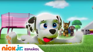 PAW Patrol  ¡Día superdivertido arriba arriba y vamos  Nick Jr en Español [upl. by Yaresed]