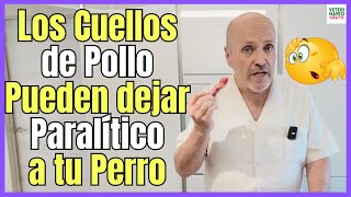 🔴 INCREIBLE DESCUBRIMIENTO 🔴 PARALISIS EN PERROS POR INTOXICACIÓN CON CUELLOS DE POLLO [upl. by Eirased]