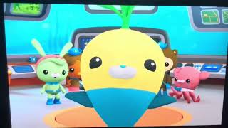 Octonauts Creature Report [upl. by Rehctelf847]