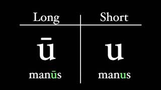 The Latin Alphabet  Vowel Pronunciation [upl. by Aker]