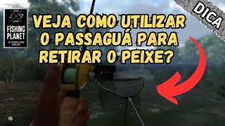 Como retirar os peixes com o uso do passaguá no Fishing Planet Steam 🎣 [upl. by Aubigny]