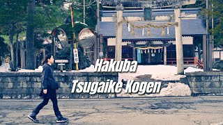 HAKUBA amp TSUGAIKE KOGEN 7D6N Part 2 First Ski trip in Hakuba Exploring Shopping amp eating 🇯🇵 [upl. by Regine678]