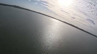 East Australian Waterbird Survey Day 2 2nd October 2024  Lake Weyba [upl. by Illoh]