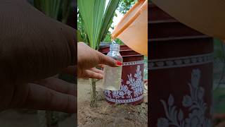 জৈব সালফার🧪🌱youtube organic compost shorts gardening sulphur [upl. by Ennywg]