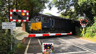 Loud bells Tavells Lane Level Crossing Hampshire [upl. by Ameehs]