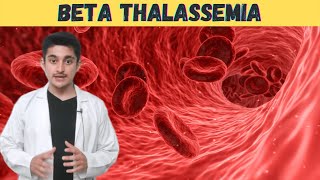 Beta thalassemia major disease 3d animation  pathology cause  class 12 cbse  kya hota hai  hindi [upl. by Hart]