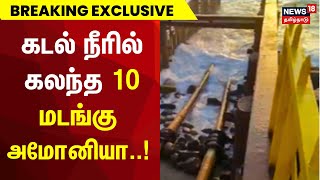 Ennore Gas Leak  கடல் நீரில் கலந்த 10 மடங்கு அமோனியா  Coromandal International Ltd  TN Govt [upl. by Shena]