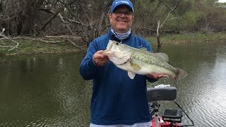 EPIC SUMMER BASS FISHING ON JOE POOL LAKE IN TEXAS [upl. by Redleh370]