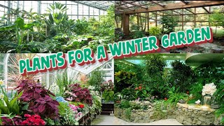 Plants for a Winter Garden [upl. by Atinhoj]