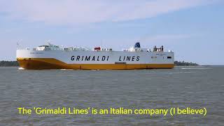 More Ships in the St Simons Sound amp Worlds largest RoRo [upl. by Ivanah]