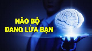 HIỆN TƯỢNG Déjà Vu Cảm Giác Quen Thuộc Hay Căn Bệnh Huyền Bí  Vũ Trụ Nguyên Thủy [upl. by Eicirtap231]