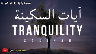 AYAT OF TRANQUILITY  SAKINAH أيات السكينة لدفع الهموم [upl. by Kapeed]