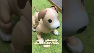 aibo きなこ エディション誕生‼︎ aibo aiboきなこエディション アイボ [upl. by Cirdet]