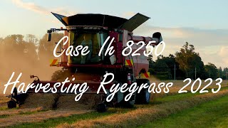 Case IH 8250 Harvesting Ryegrass 2023 [upl. by Esetal]