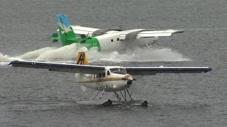 Seaplanes landing and takeoff in Vancouver Harbor CYHC airport [upl. by Waki]