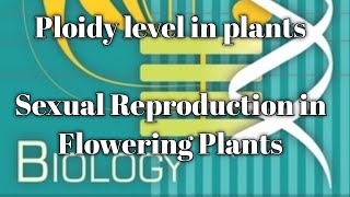 ploidy level in plants [upl. by Junina619]