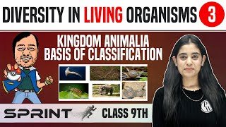 Diversity in Living Organisms 03  Kingdom Animalia  Basis of Classification  Class 9  NCERT [upl. by Yelrahs799]