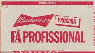 Budweiser procura Fã Profissional [upl. by Lindi]