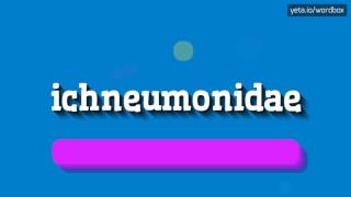 ICHNEUMONIDAE  HOW TO PRONOUNCE IT [upl. by Schaffel]