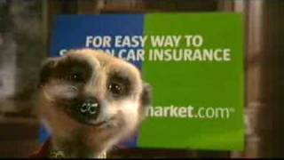 Official Compare the Meerkat Advert by Aleksandr Orlov [upl. by Rusty]