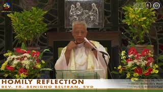 HOMILY OF REV FR BENIGNO BELTRAN SVD [upl. by Kerek]