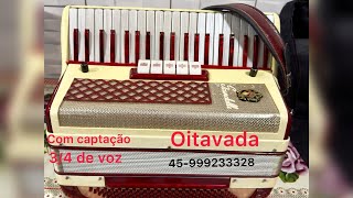 live Acordeon Scandalli 35 vendido [upl. by Aikahs812]