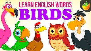 Birds  Pre School  Learn English Words Spelling Video For Kids and Toddlers [upl. by Brigitte]