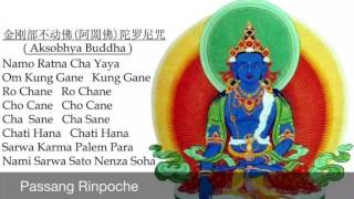 Passang Rinpoche chants Aksobhya Buddha Mantra [upl. by Kcirdneked151]