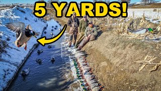 SMALLEST WARM WATER CREEK DUCK HUNT EVER Greenheads Only 5Yard Shots [upl. by Yhotmit167]