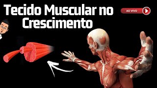 Tecido Muscular Esquelético no Crescimento  Aula ao Vivo 27 [upl. by Nashom]