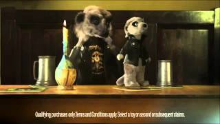 Compare the Meerkat  Advert 26 [upl. by Notlih75]