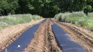 Introduction to Plasticulture and Drip Irrigation [upl. by Glenn456]