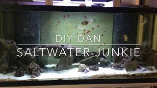 UPDATE ON DENITRATOR BUILDS amp UPDATE ON HUGE ALGAE SCRUBBER BUILD AS WELL [upl. by Ayvid]