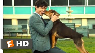 A Dogs Purpose 2017  The Right Fit Scene 910  Movieclips [upl. by Aisela]