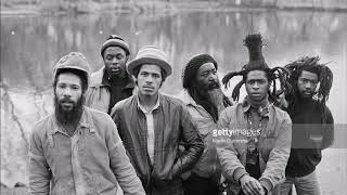 Steel Pulse  Live At The Ritz NY USA 721984 [upl. by Asilahs]