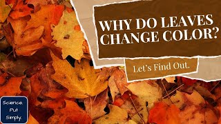 Why Do Leaves Change Color In The Fall [upl. by Thompson]