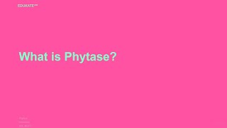 What is Phytase [upl. by Lyram740]