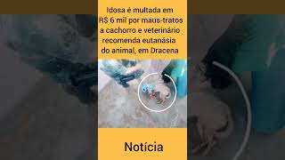 Idosa é multada em R 6 mil por maustratos a cachorro e veterinário recomenda eutanásia do animal [upl. by Jamal]