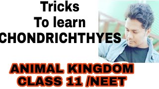 Tricks to learn the examples of CHONDRICHTHYES NCERT CLASS 11 ANIMAL KINGDOM IMP FOR NEET [upl. by Otsugua761]