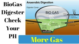 How To Test Biogas Digester PH Easy Fix  New Off Grid Home [upl. by Noffets]