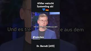 AFDler watscht systemling ab 💯🇩🇪 afd deutschland politik [upl. by Htebasil218]